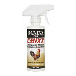 Banixx for Chixx  Sherborne